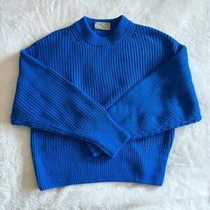Everlane Vibrant Blue Crew Neck Sweater
